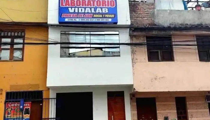 vidalab" - Laboratorio Clinico - Ayacucho