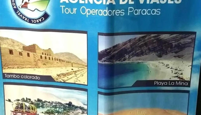 Vive Peru Tour Srl - Paracas