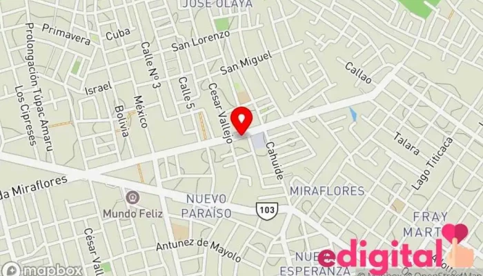 mapa de ZUBOTICA Farmacia en Pucallpa